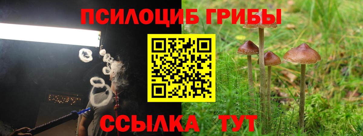 Магадан  Галлюциногенные грибы Psilocybine cubensis  Вход с VPN  Галлюциногенные грибы Psilocybe 